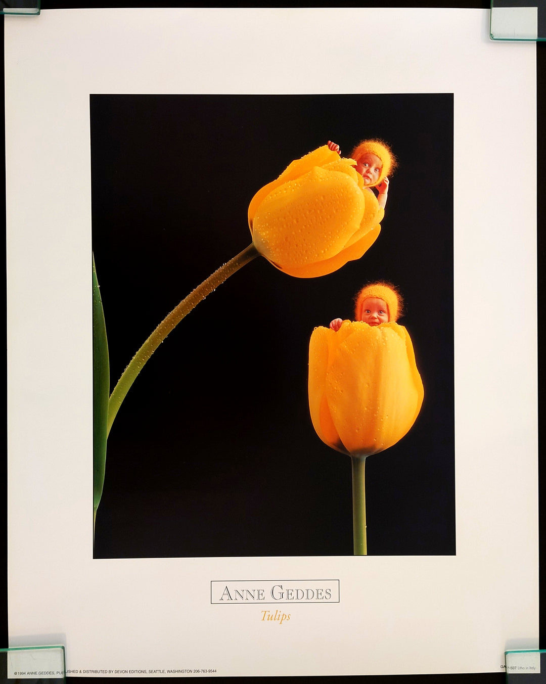 Anne Geddes fine art print - Tulips, two children peeking out from inside vibrant orange tulip blooms, tender and enchanting baby photography.