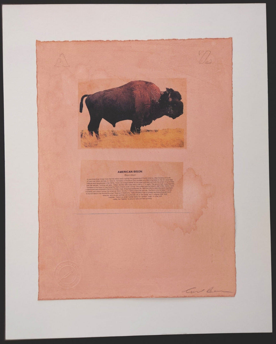 "Carl Beam RCA - American Bison, original mixed media on paper, signed with artist's seal, Ojibway First Nations artist, archival condition never framed, National Gallery of Canada collection"