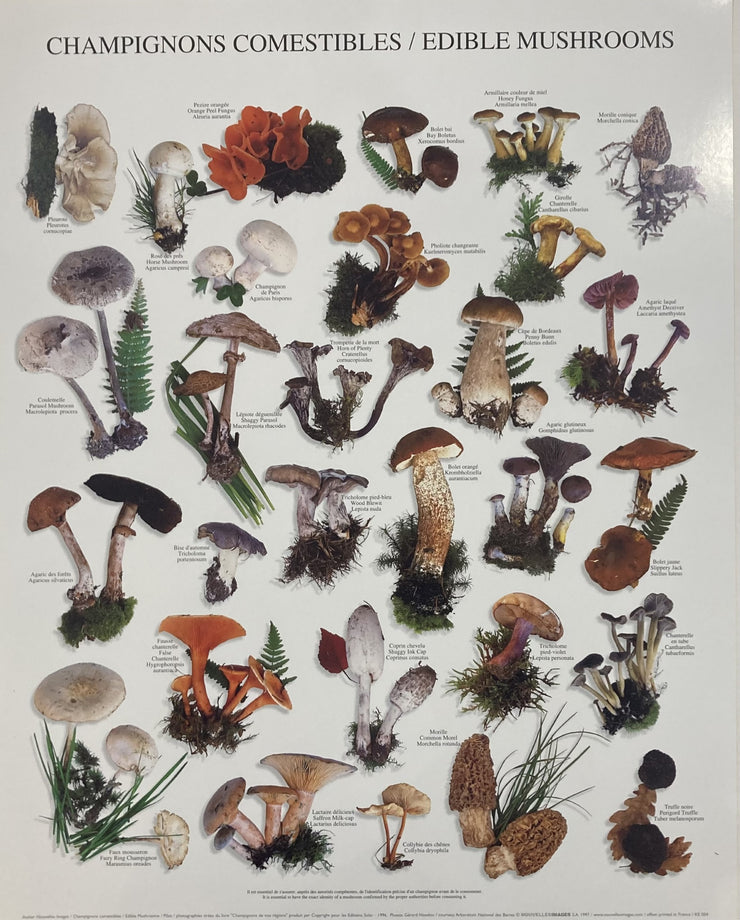 Nouvelles Images - Edible Mushrooms