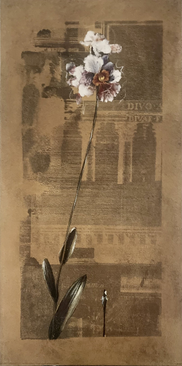 Carney, Dennis - Asian Orchid I