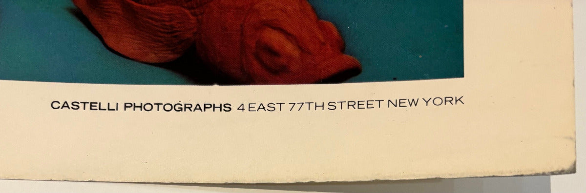 A close-up of a printed artwork or poster margin showing part of a red abstract fish or organic form against a teal-blue rectangle, with the text 'CASTELLI PHOTOGRAPHS 4 EAST 77TH STREET NEW YORK' on a cream border. Slight yellowing along edges. 