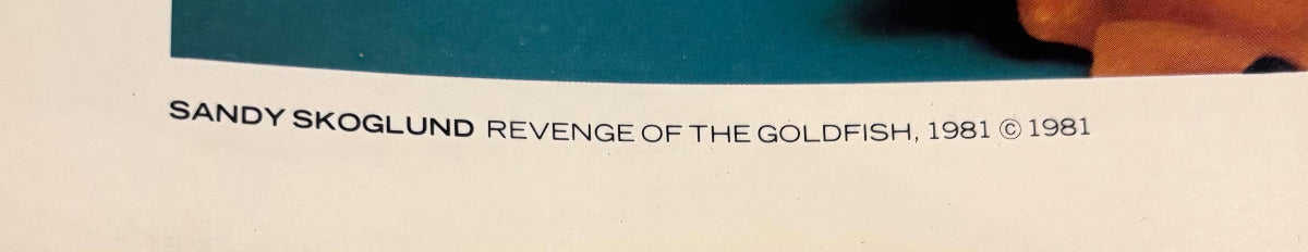 A close-up of printed text reading 'SANDY SKOGLUND REVENGE OF THE GOLDFISH, 1981 © 1981' on a white surface, with a dark blue rectangular area at the top and a small portion of a brown object visible at the upper right.