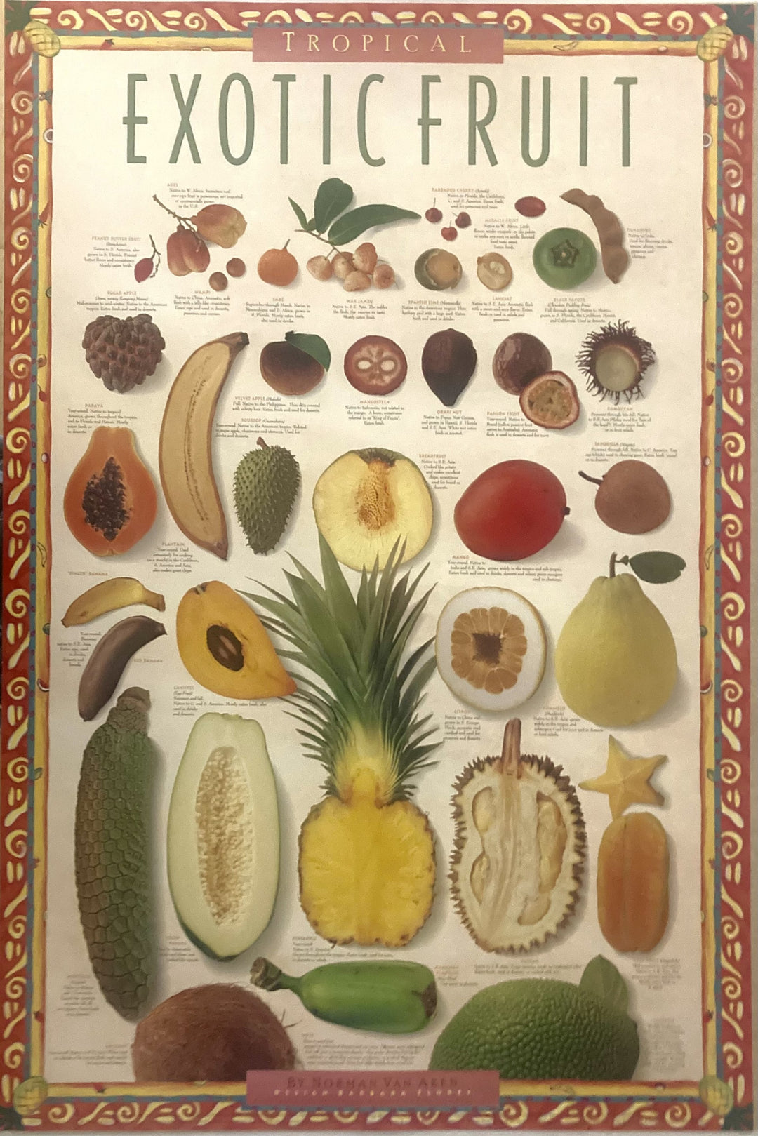 Norman Van Aken - Tropical Exotic Fruit