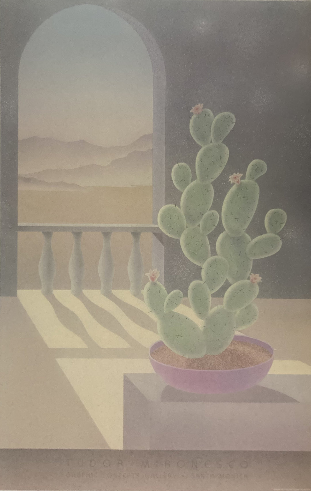 Mironesco, Tudor - Cactus