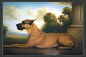 Merill Christine - Recumbent Great Dane