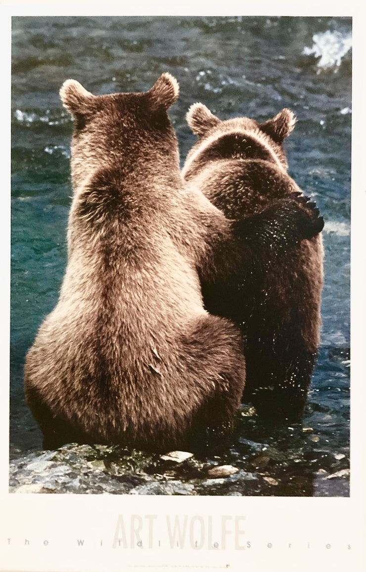 Art Wolfe - Two Bear Cubs
