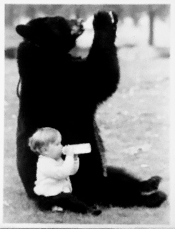 Big Bear and New Cub