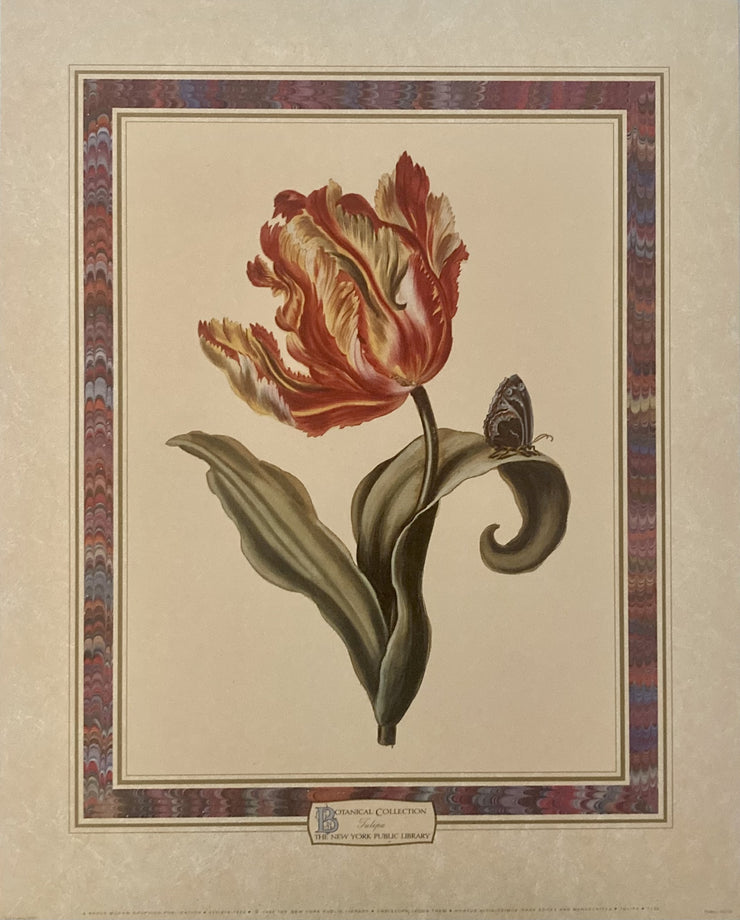 Redoute, Pierre-Joseph - Botanical Collection 1