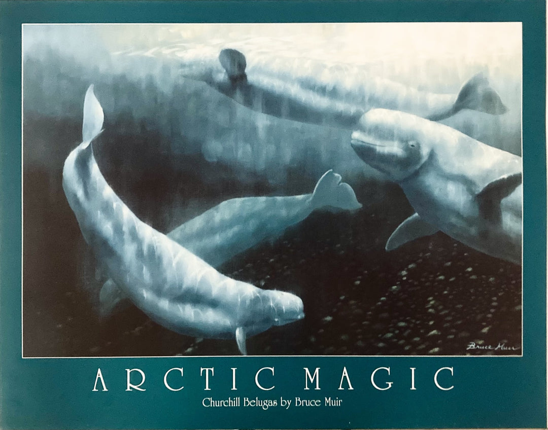 Muir, Bruce - Arctic Magic