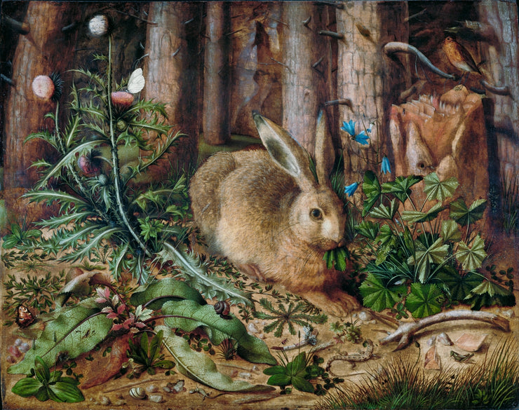 Hans Hoffmann - A Hare in the Forest