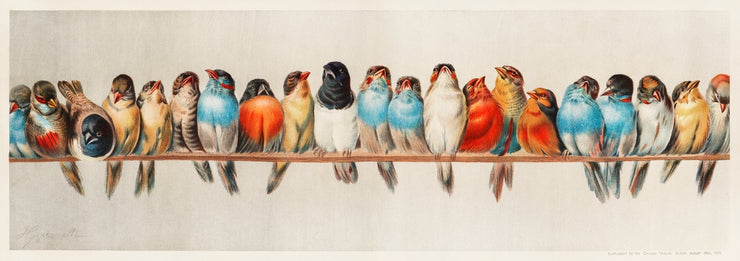 Hector Giacomelli - A Perch of Birds