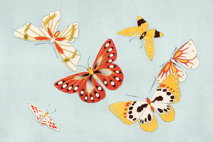 Kamisaka Sekka - One Thousand Butterflies