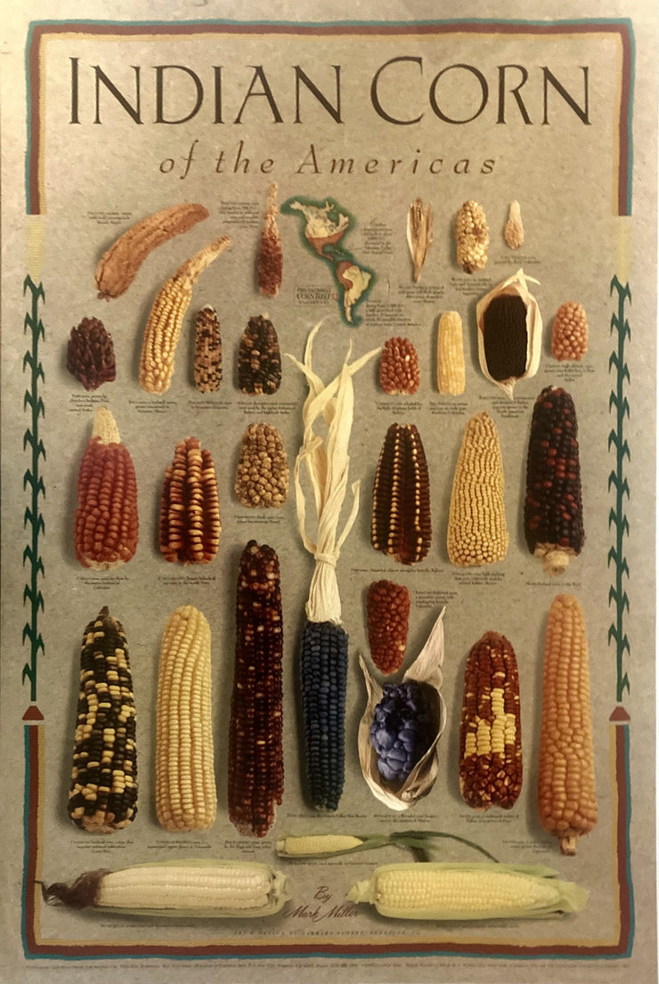Miller - Indian Corn