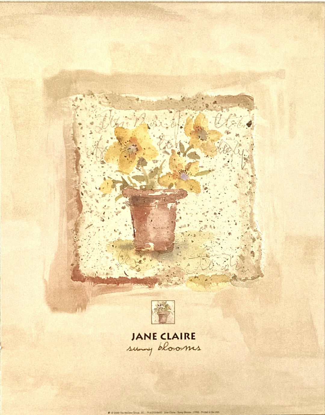 Claire, Jane - Sunny Blooms