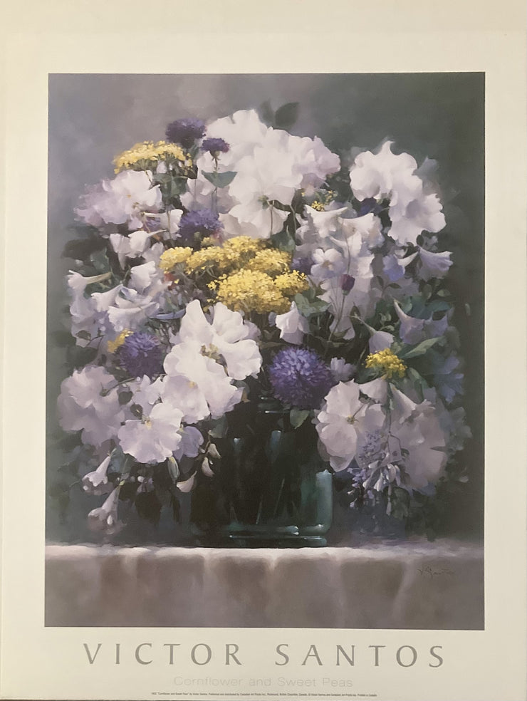 Santos, Victor - Cornflower & Sweet Peas