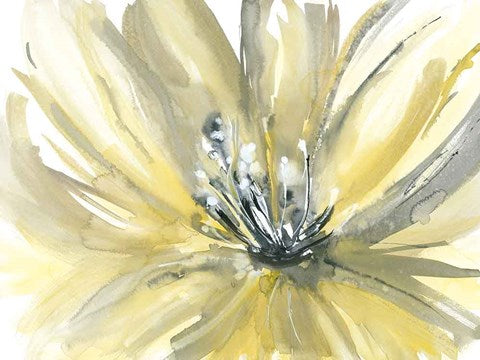 Close up of yellow and white flower with grey undertones. Very light and flowing.
