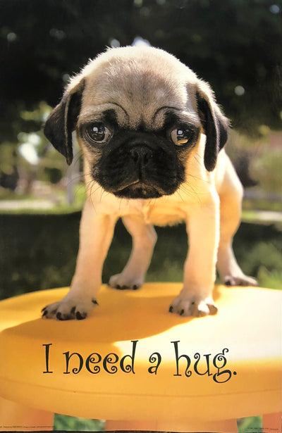 a photo of a pug puppy on a yellow stool. Text below the puppy reads "I need a hug"
