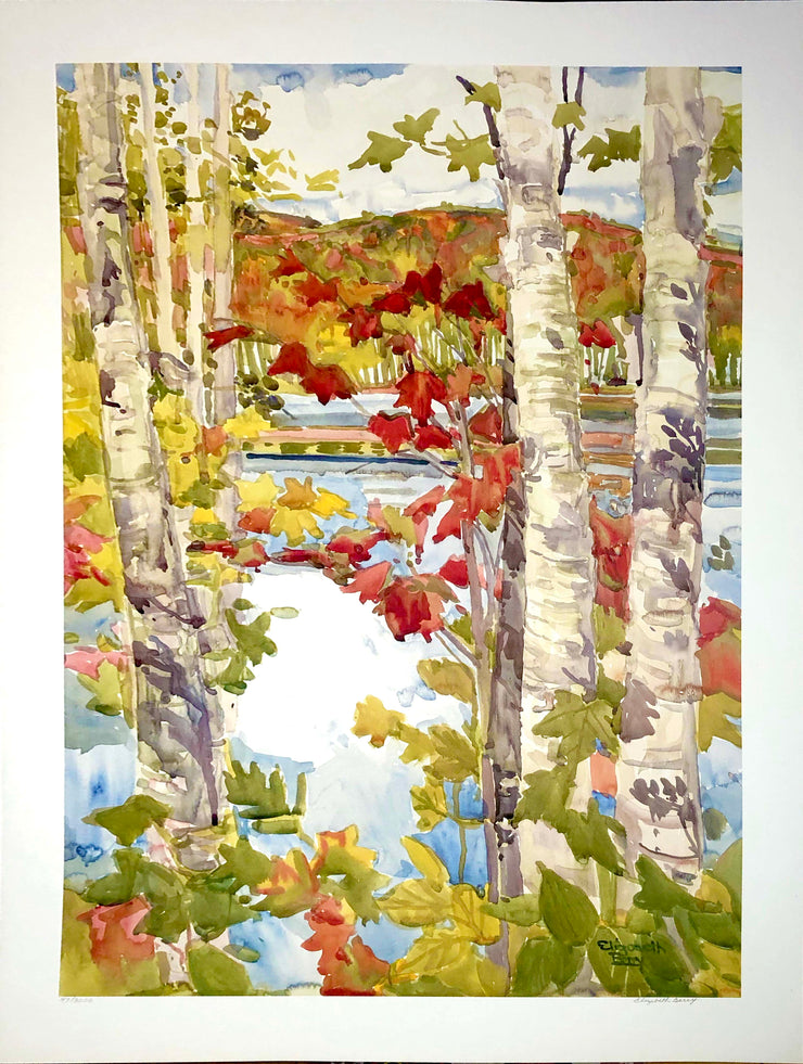 Watercolour of pale birch trees overlooking a lake. The trees are covered in yellow, orange, and red leaves. Across the lake is more autumn forest which can be made out through between the trees.