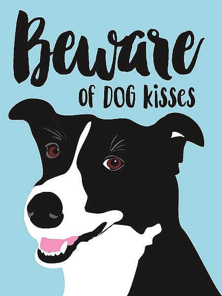 A stylized border collie on a blue background. Text reads: "Beware of dog kisses."