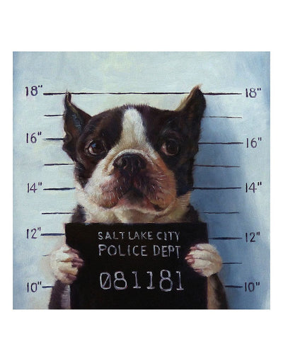 A mugshot of a boston terrier, who holds up a letterboard for Salt Lake City Police Department. 