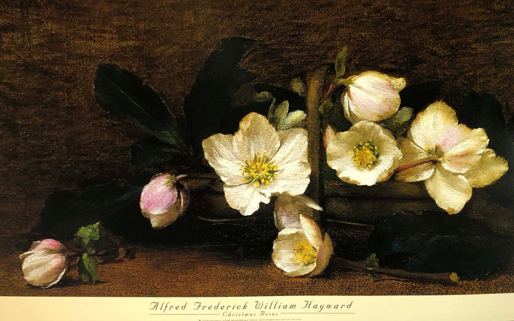 White flowers lay in a basket, three on one side and two on the other. several are still closed buds. a couple lay on the ground around the basket. There is a brown-ochre backdrop and ground.