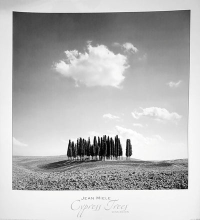 black and white photo of cylindrical trees ending in a point. The trees stand in the middle of a field. A lot of sky is above them, with a single cloud above the trees.