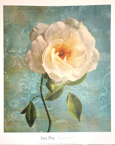 A white rose with drooping green leaves on a blue background with teal floral designs.  Dimensions: 20" x 28" paper / 18" x 24" image