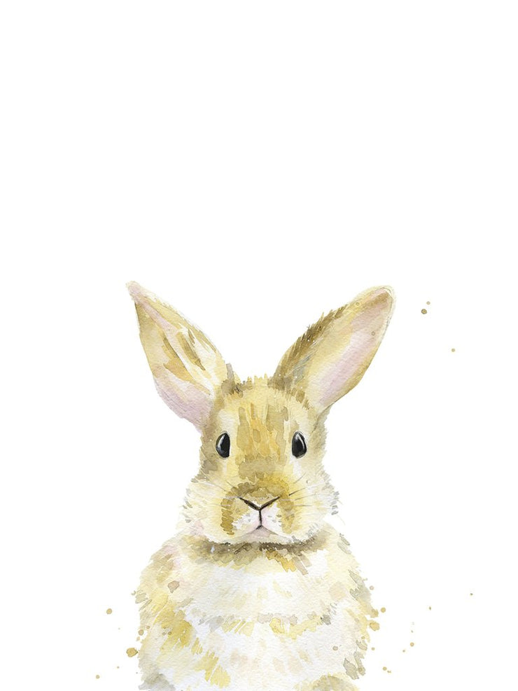 Solo - Rabbit