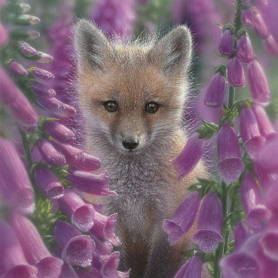A baby red fox sits in a field of purple foxglove flowers.