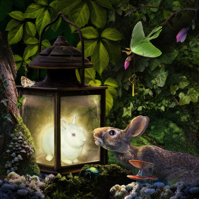 A brown rabbit sits in a lush forest. It looks at a glowing, white bunny in a lantern. A green luna moth is perched overhead with a key. Mushrooms grown around the rabbits in the dark. Done in a photo collage style.
