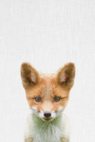 Tai Prints "Baby Fox"