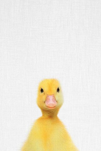 Tai Prints "Duck"