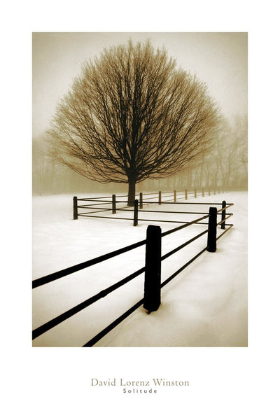 A leafless tree stands in the snow next to a wood fence.