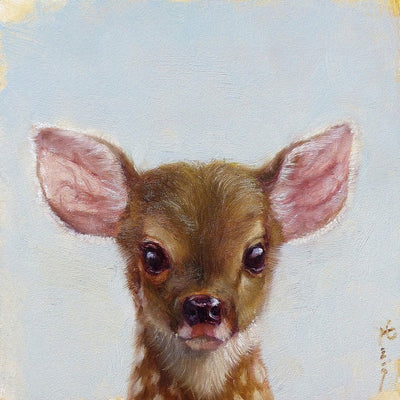 A portrait of a fawn (a baby deer). The baby's brown fur still has white dots on it. Set on a white background.