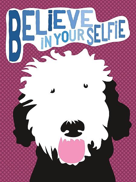 A portrait of a black and white portuguese water dog with its tongue out. Set on a dotted magenta background. The text above the dog reads: "Believe in Your Selfie"