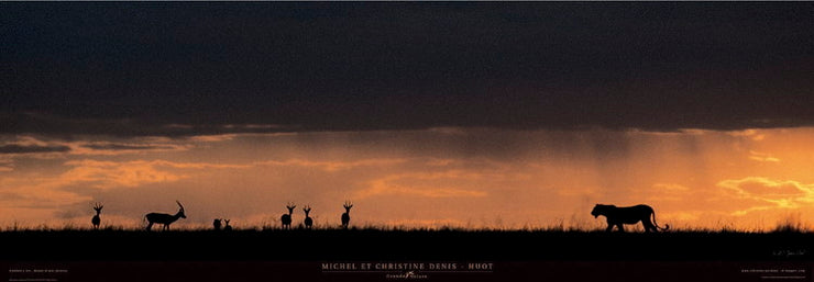 Denis-Huot Michel Et Christine - Panthera Leo, Masai Mara (Kenya)