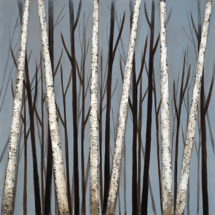 A series of birch trees set against a blue background. Silhouettes of birch trees stand behind the trees in the foreground.