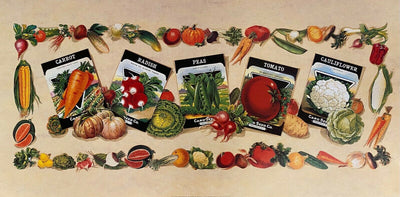 5 vintage seed packets surrounded by fruits and vegetables. Seeds are for carrots, radishes, peas, tomatoes, and cauliflower. Set against a beige background.