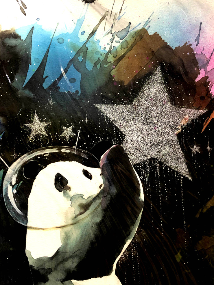 A panda bear in a fishbowl space helmet grabs a sparkling, glittery star. Set on a black background with colourful edges like splattered paint.